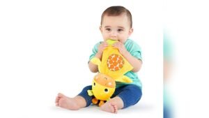 Best Soft Toys for Babies