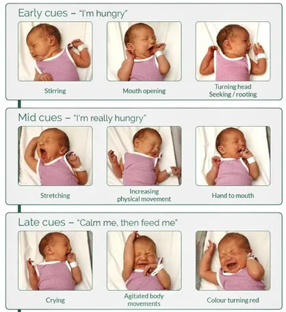 A parent cradling a quiet infant while considering when to seek evaluation.