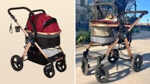 Best Pet Strollers for Small Dogs