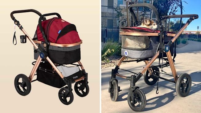 Best Pet Strollers for Small Dogs