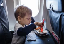 Can You Bring Baby Food on a Plane