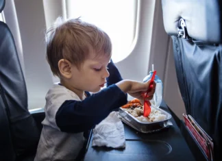 Can You Bring Baby Food on a Plane