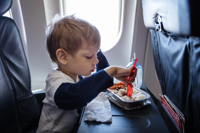 Can You Bring Baby Food on a Plane