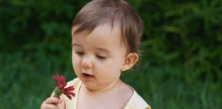 Cute Plant Names for Baby Girls