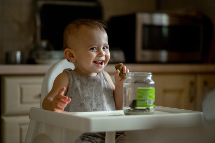 Happy Baby Food